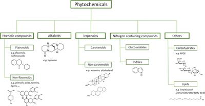 More than a meat- or synthetic nitrogen fertiliser-substitute: a review of legume phytochemicals as drivers of ‘One Health’ via their influence on the functional diversity of soil- and gut-microbes